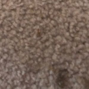 Meet your Posher, Peyton